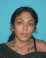 Leticia Camargo TCSO Booking Photo