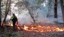 Prescribed Burn Image TREX Image