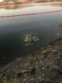Vehicle In Lake Pardee