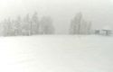 Dodge Ridge Summit -- snowing at noontime Fri Nov 30 2018