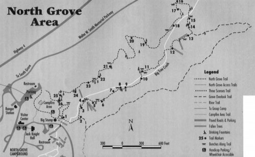 North Grove Big Trees Details