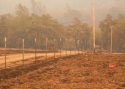 Rattlesnake Flats Road where firefighters were overrun by the Camp Fire flames