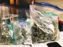 Baggies of pot found by police