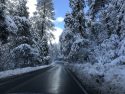 Snow In Twain Harte