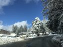 Snow In Twain Harte
