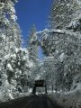 Snow In Twain Harte