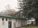 Tree damages Sonora High Maintenance Building