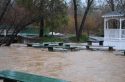 Flooding at Murphys Park