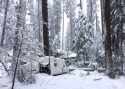Tent in Yosemite damaged by a downed tree -2-8-19