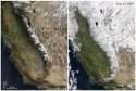 Terra MODIS Sierra Snow Images Feb 2019