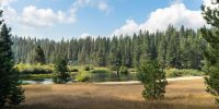 Sierra Park HOA Lake in Long Barn meadow