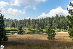 Sierra Park HOA Lake in Long Barn meadow