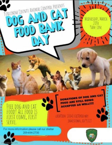 Dog and Cat Food Bank Day flyer