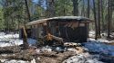Downed trees damage park restroom