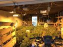 Martinez arrest for marijuana grow and BHO lab in Valley Springs Mar 22 2019