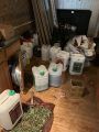 Pot raid on Valley Springs home