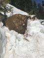 Snow Off Highway 108 near Eagle Meadows