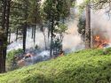 South 108 Underburn in the Mi-Wok Ranger District