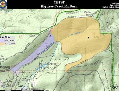 Calaveras Big Trees State Park prescribe burn
