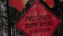 Prescribed Burn To Create Smoke In Calaveras County