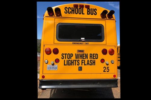 Four Local School Districts Teaming Up To Bus Students - Vimarsana News