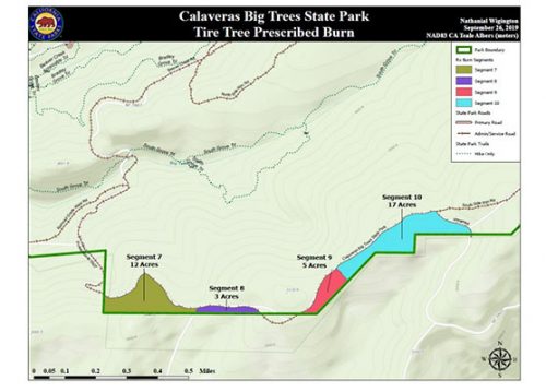 Calaveras Big Trees State Park Tire Tree Prescribe Burn