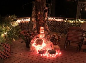 Corn stalks, gourds and a haystack with ceramic and other pumpkins in Francie McGowan's “autumnal shrine”