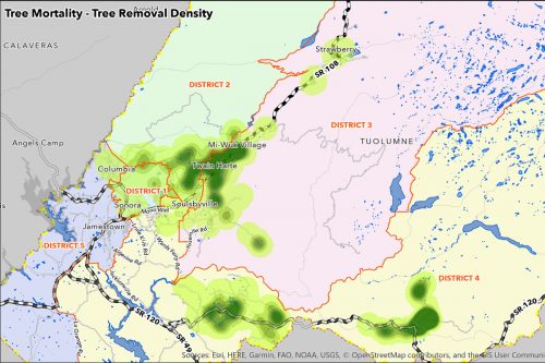 Heat map for the tree mortality program showing the concentration of trees removed.