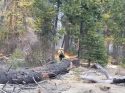 Burning Planned This Weekend At Calaveras Big Trees Burning Planned This Weekend At Calaveras Big Trees