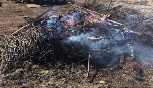Debris Burn Pile