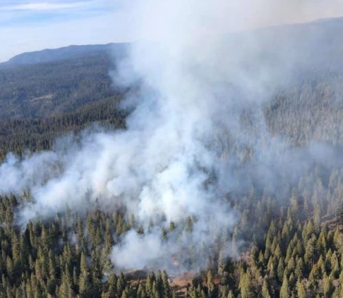 Prescribed Fire Near Calaveras Big Trees State Park