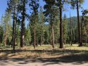 Archive Forest photo - Clark Fork Campground