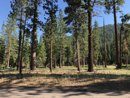 Popular Tuolumne County High Country Seasonal Road Reopening - Vimarsana News