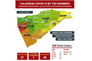 Cases of Calaveras district COVID-19 by district