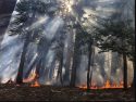 House Natural Resources Committee Hosting Yosemite Field Hearing