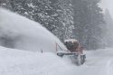 Visitors Asked To Stay Away From Stanislaus National Forest