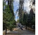 PG&E&rsquo;s Advice About Downed Power Lines