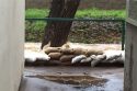Sandbags Available As Stormy Weather Anticipated