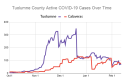 26 New COVID-19 Cases In Tuolumne And 3 In Calaveras