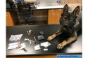 Same Day Valley Springs Drug Arrests Unrelated Same Day Valley Springs Drug Arrests Unrelated