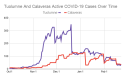 COVID-19 Report, 13 New Tuolumne Cases, 2 New Calaveras Cases