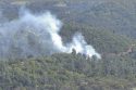 Fire In Sonora