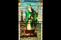 The Snakes Of Ireland