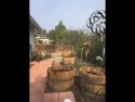 Attracting Wildlife to Your Garden Attracting Wildlife to Your Garden