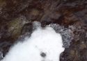 Sierra Snowpack Survey Canceled Due To Dry Conditions