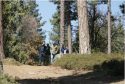 California Lawmakers Agree To $536-Million Wildfire Package