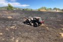 Yard Equipment To Blame For Quail Fire In Copperopolis