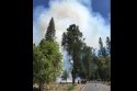 Changing Conditions Halt Yosemite Prescribed Burn