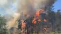 Oak Fire Climbs To Over 14,000 Acres