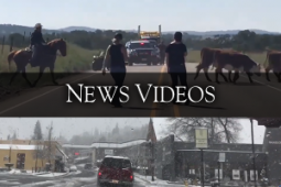 newsvideos